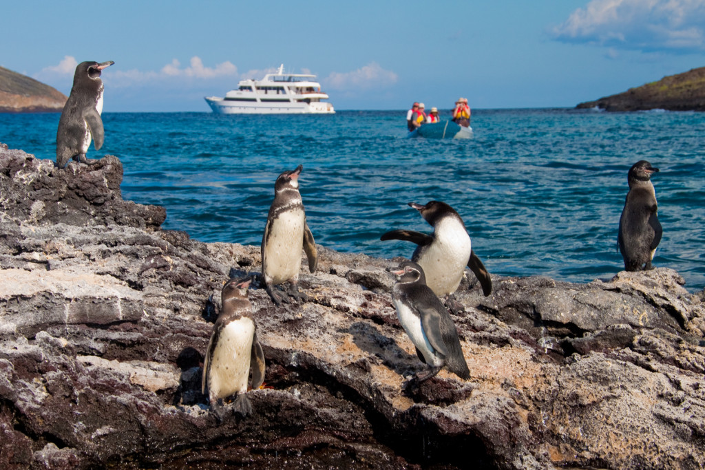 Grand Odyssey - Galapagos Cruise - Sea Star - Lifestyle Magazine