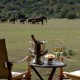 adastra-luxury-lifestyle-magazine-gorah-elephantcamp