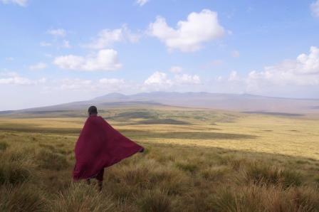 The Highlands of Tanzania